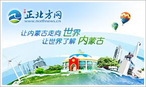 烏海市發放航空旅游補貼，助力旅行社與票務代理發展